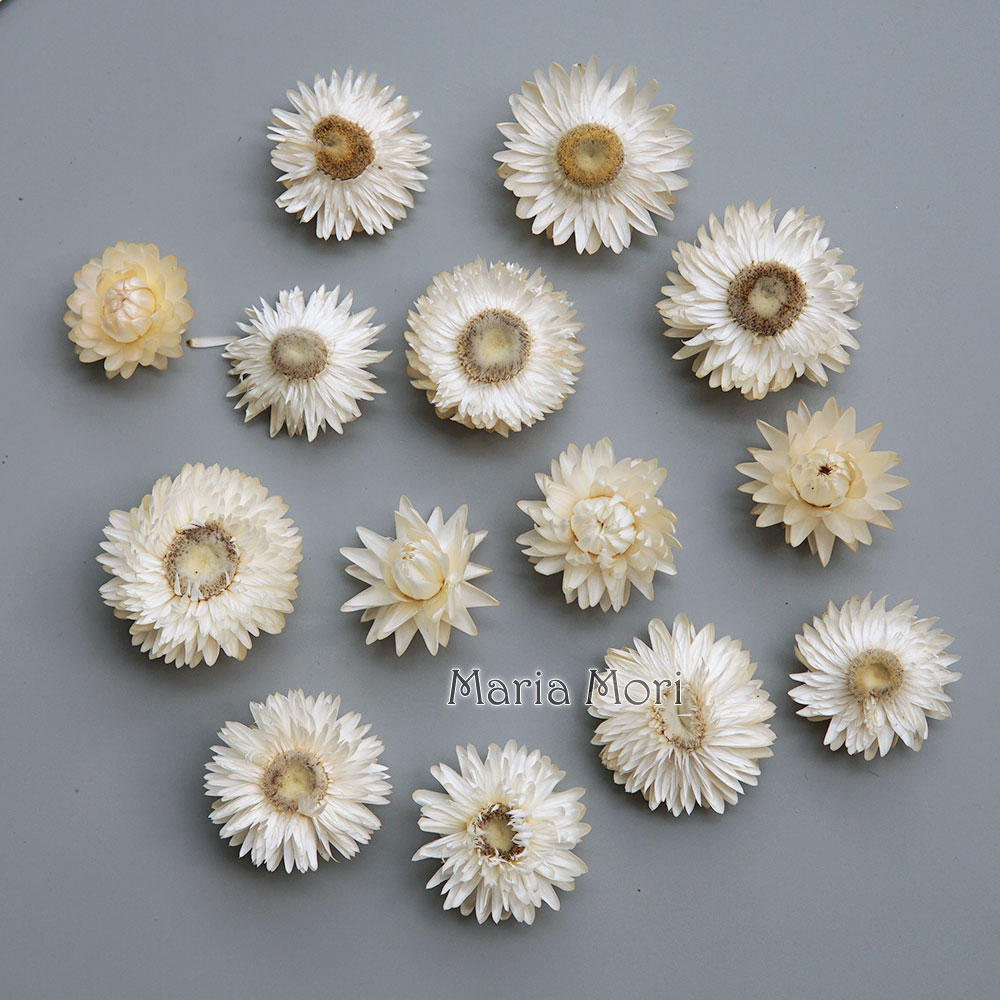 Karangan bunga krisan warna-wa - Candle Making Uk ulasan dan harga