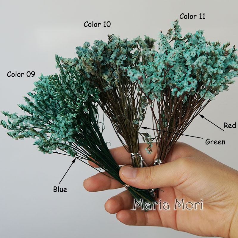 5G/Warna-warni Dired Diawetkan - Candle Making Uk ulasan dan harga
